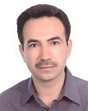 محمدرضا حسامی