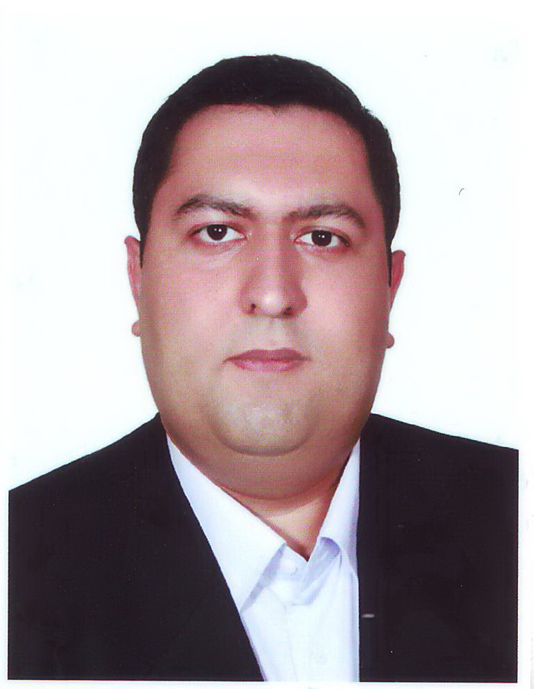 سید حسن محمود عربی