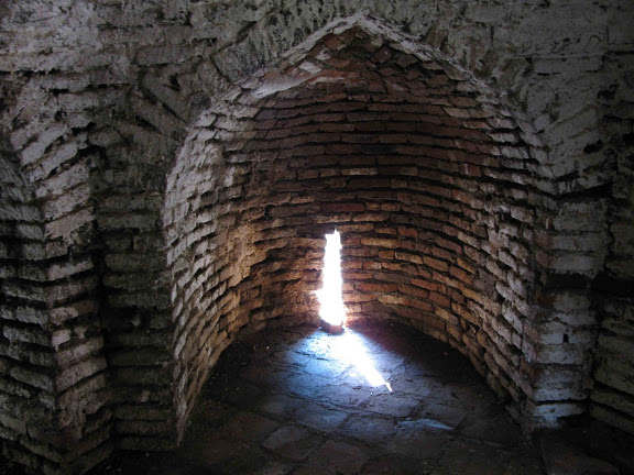 حامد نژادلویه